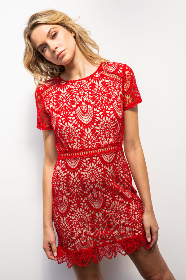 Mimosa Spring Crochet Lace Mini Dress - Red